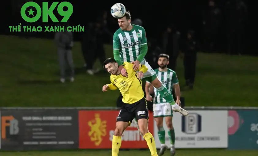 Green Gully sẽ phải chạm trán đội đầu bảng – Heidelberg Utd Green Gully sẽ phải chạm trán đội đầu bảng – Heidelberg Utd