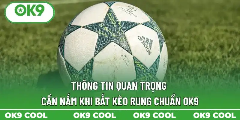 Thông tin quan trọng cần nắm khi bắt kèo rung chuẩn OK9 Thông tin quan trọng cần nắm khi bắt kèo rung chuẩn OK9